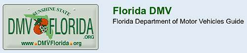 florida dmv license plate check